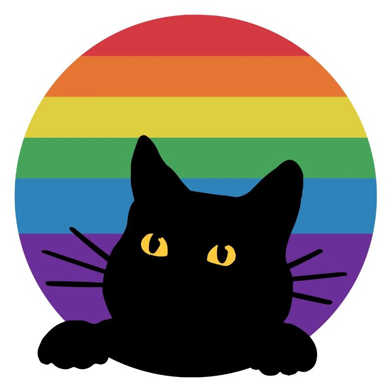 Regenbogen Katze