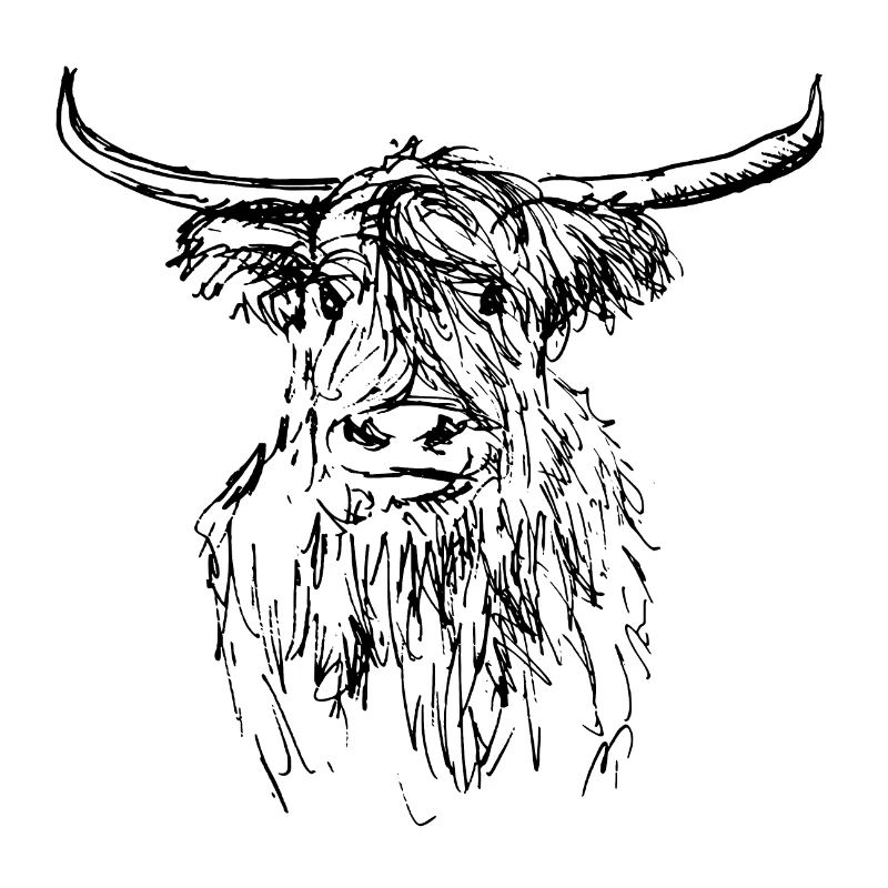 2021 01 04 highlander écossais 01