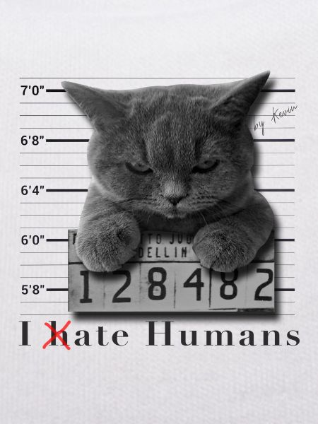 Cat hates humans