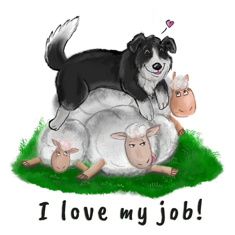 Border Collie