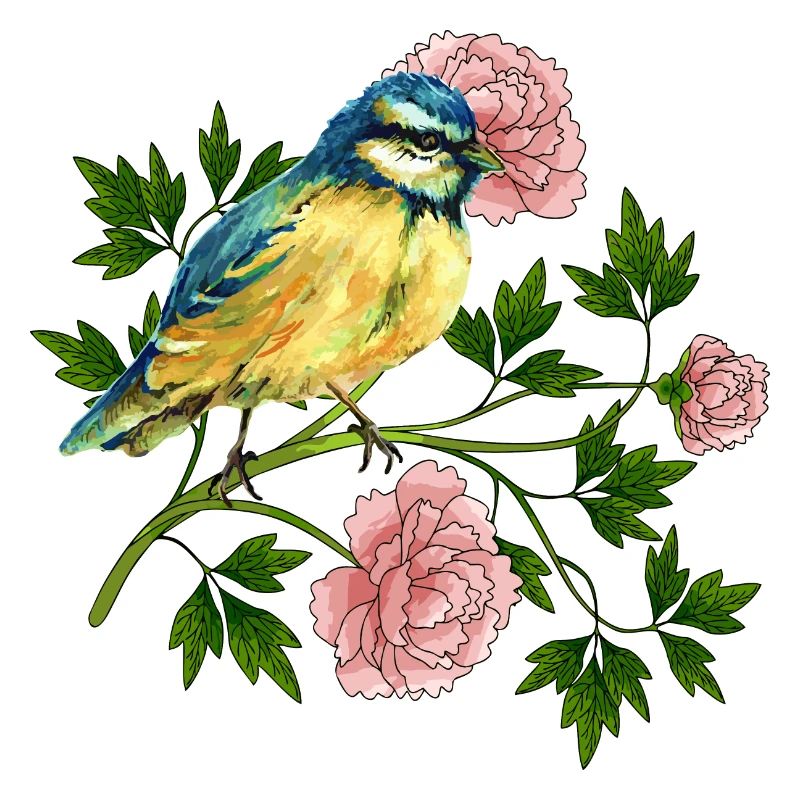 Bunte Vogel
