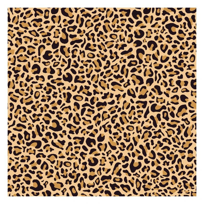 Leopard Pattern | Leopard Print | African Animal