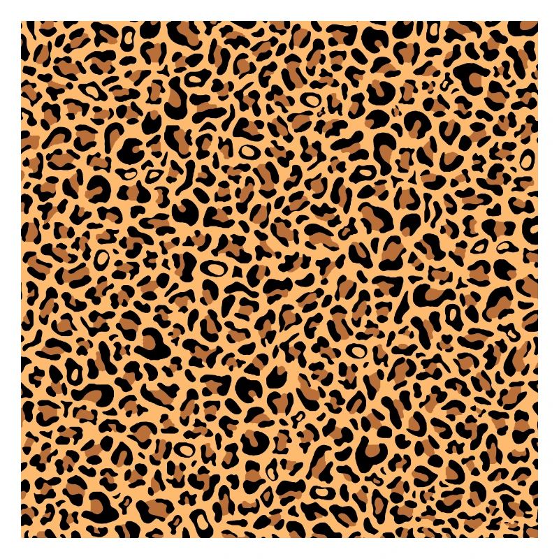 Leopard Pattern | Leopard Print | African Animal