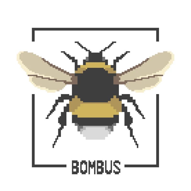 Bumblebee – Bombus
