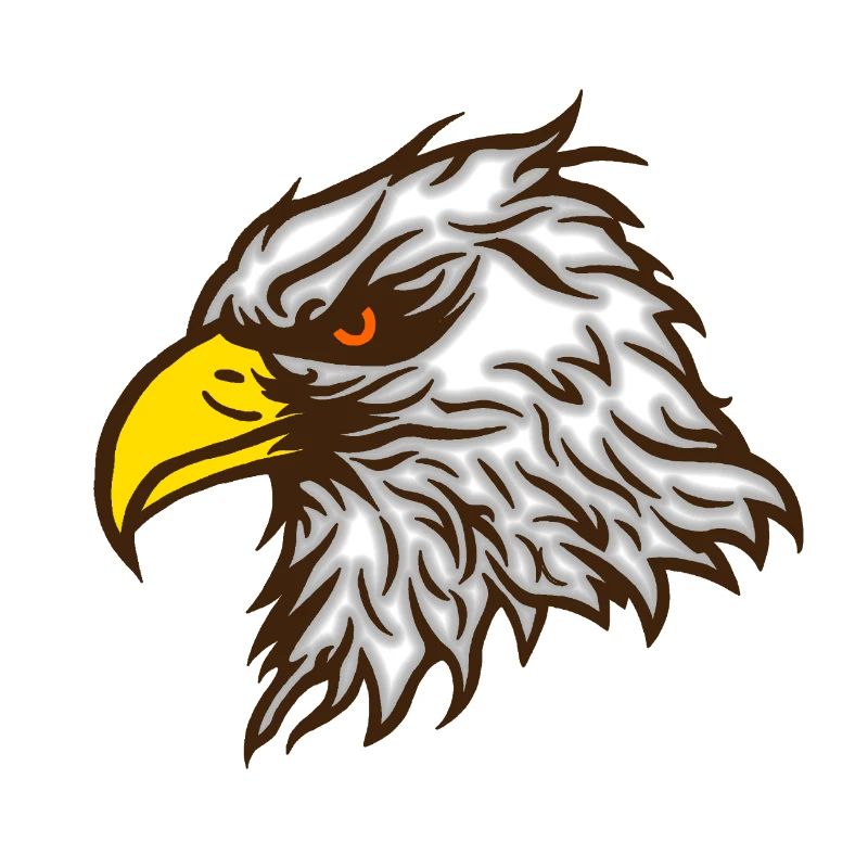 Cool bald eagle eagle colored