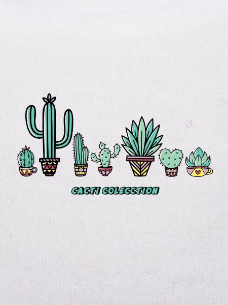 Cactus Collection.