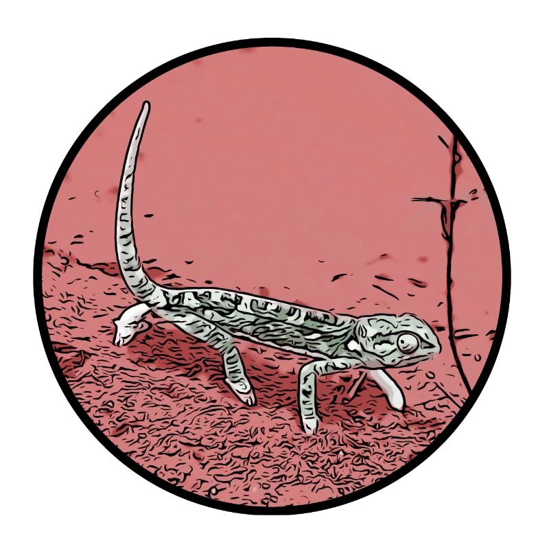 Chamäleon