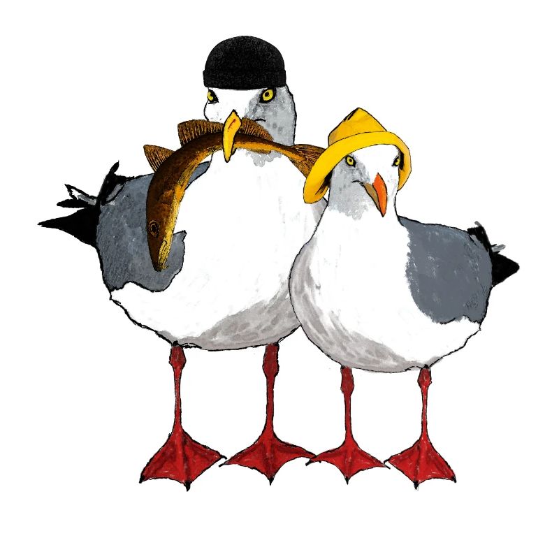 Mouette Jonathan et son Emma