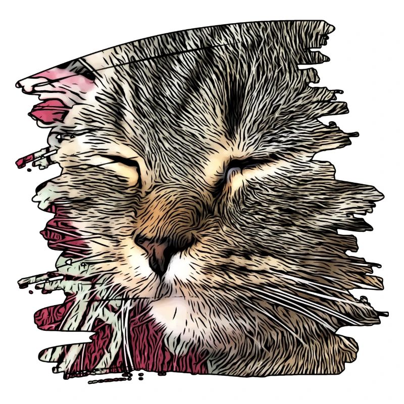 Cat Face 6
