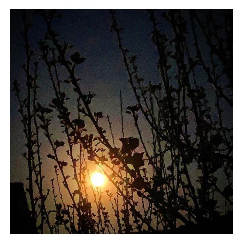 Lune