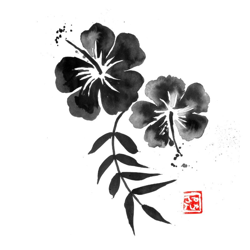 Hibiskus 02