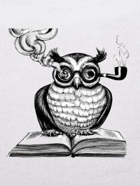 The Clever Owl