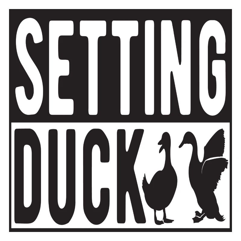 Setting Duck
