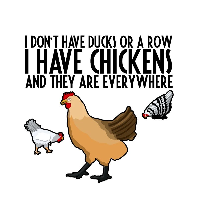 Je n’ai pas de canards ou de rangée, j’ai des poulets 3