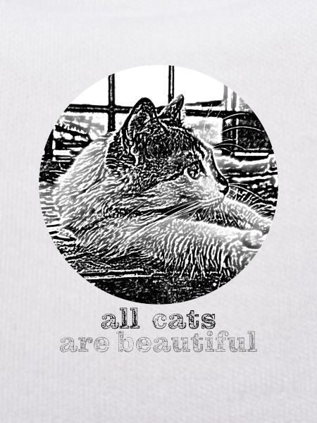 All cats are beautiful