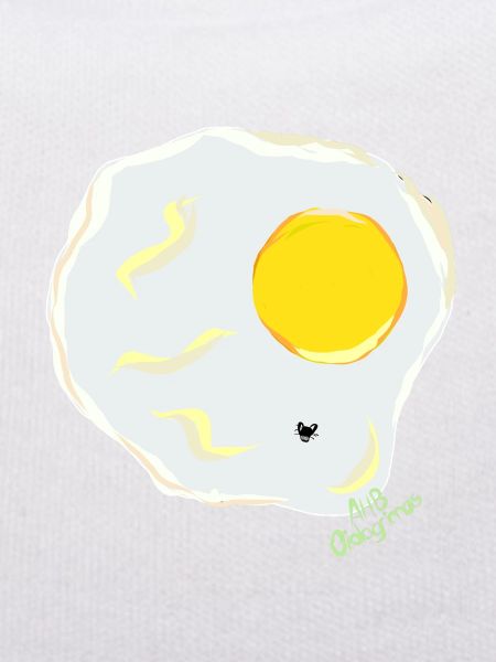 FRIED EGG v fly