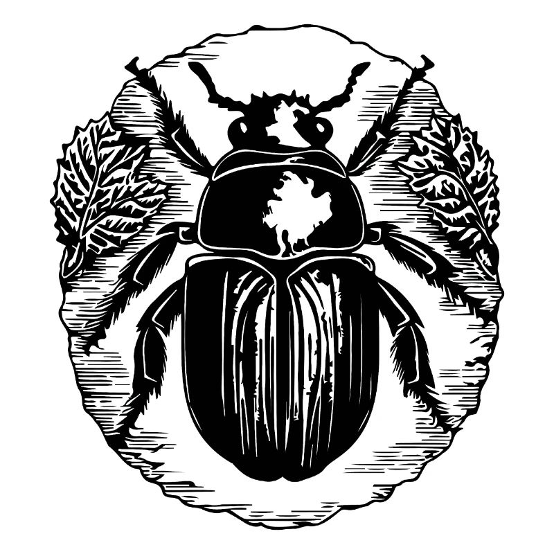 Insectes, bestioles, arthropodes