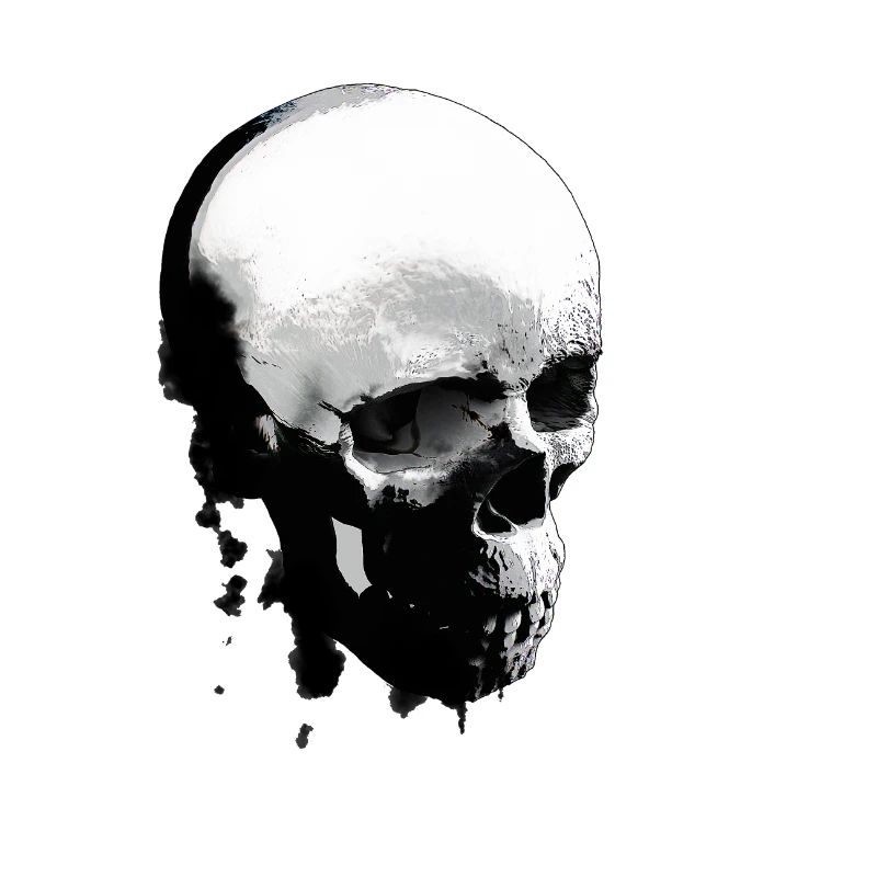 SKULLe
