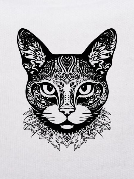 Chat chaton chaton dame