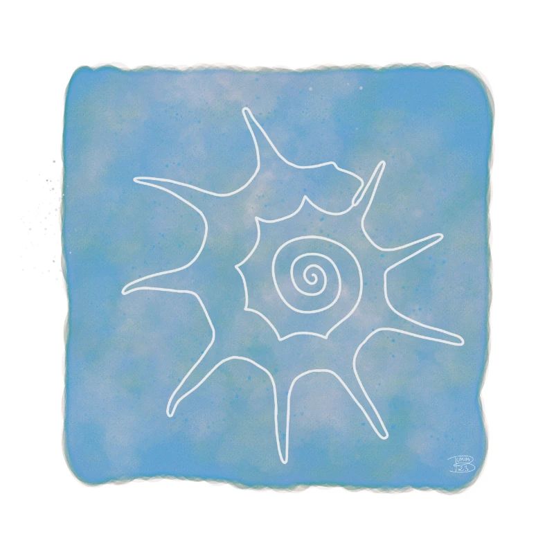 Bolma, Boho Line Art Design, Serie Shells