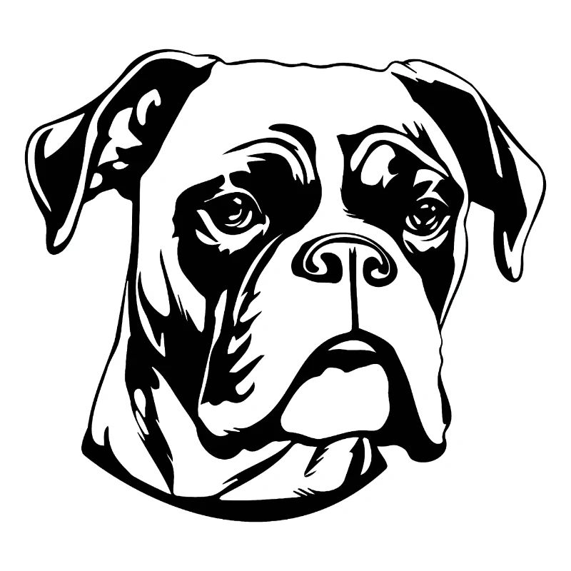 Races de chiens boxers