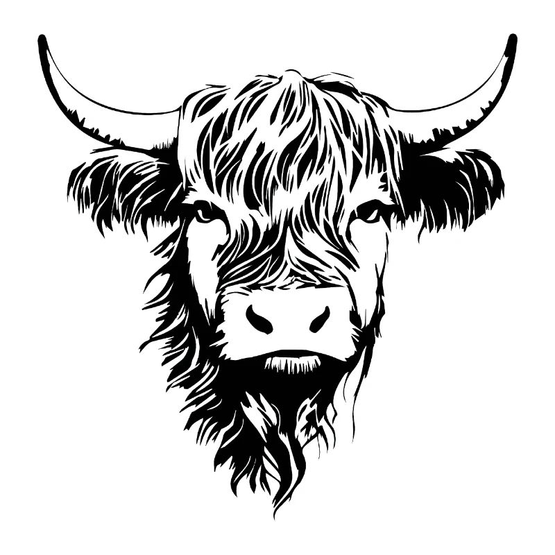 Vache écossaise des Highlands