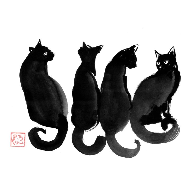 4 Katzen