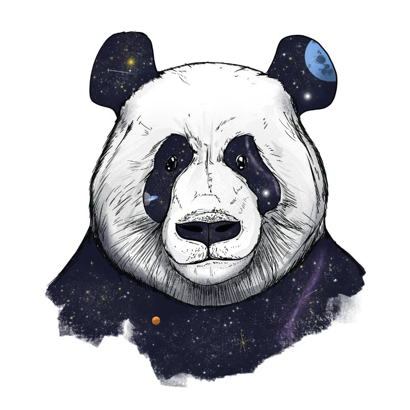 Space panda