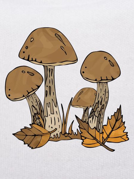 Mycètes