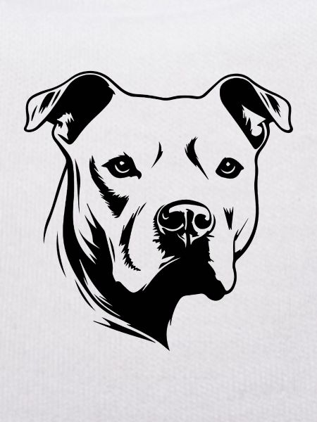 Pitbull