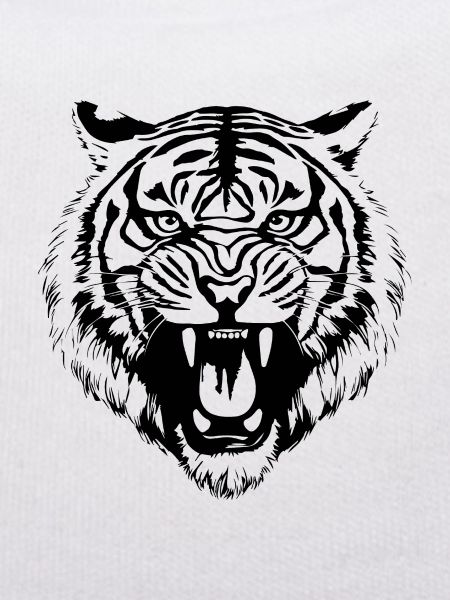 Tiger Big Cat