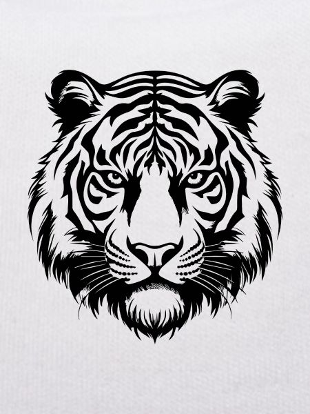 Tiger Big Cat