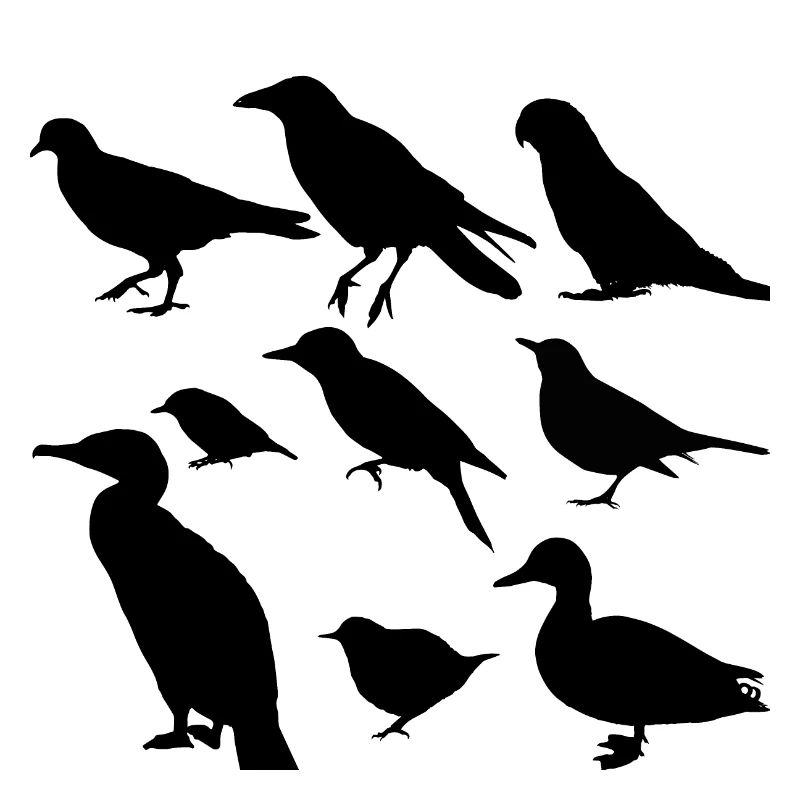 Vögel minimalistisch, Silhouetten