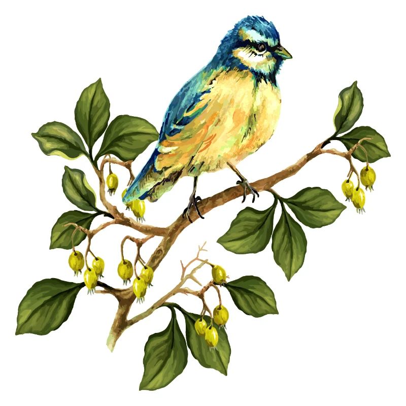 Bunter Vogel