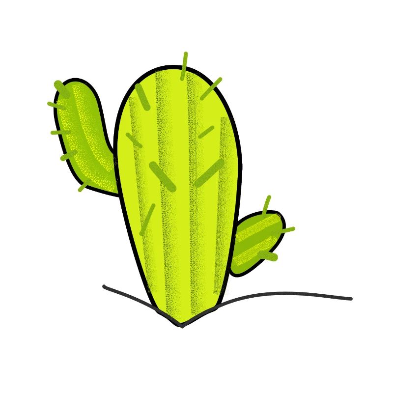 Cactus