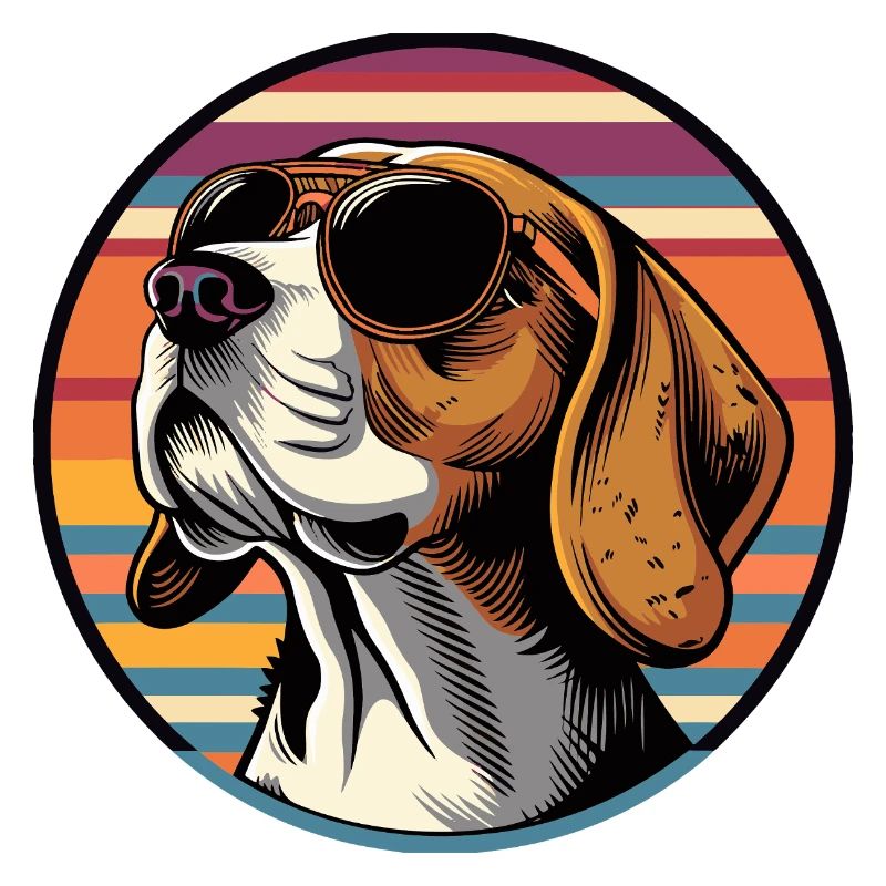 Beagle Hund Cool