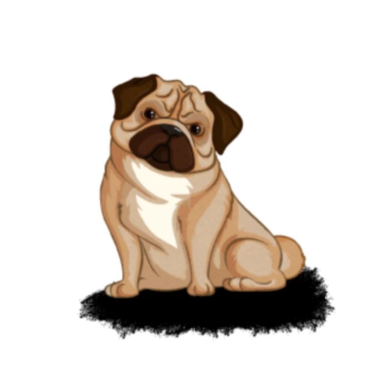 PUG