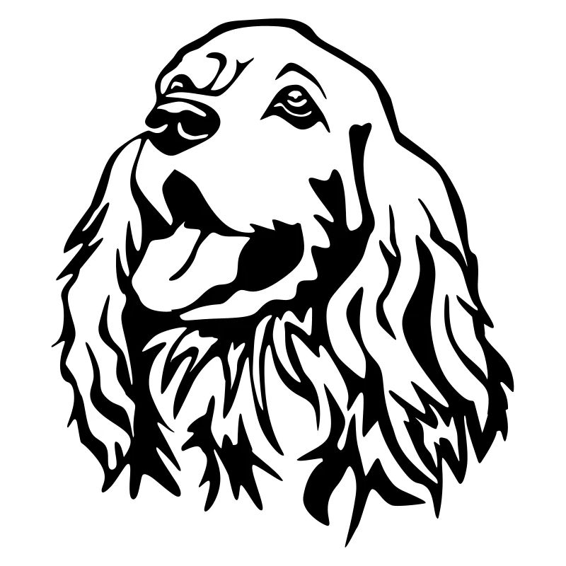 Tête de Cocker Spaniel