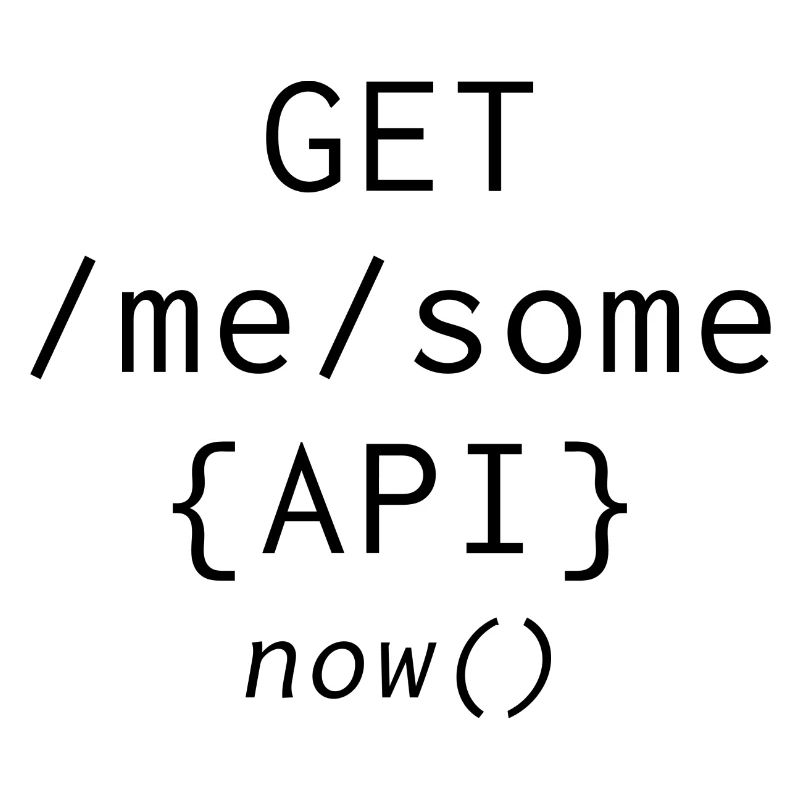 Api Programming Informatic Geschenk Spruch