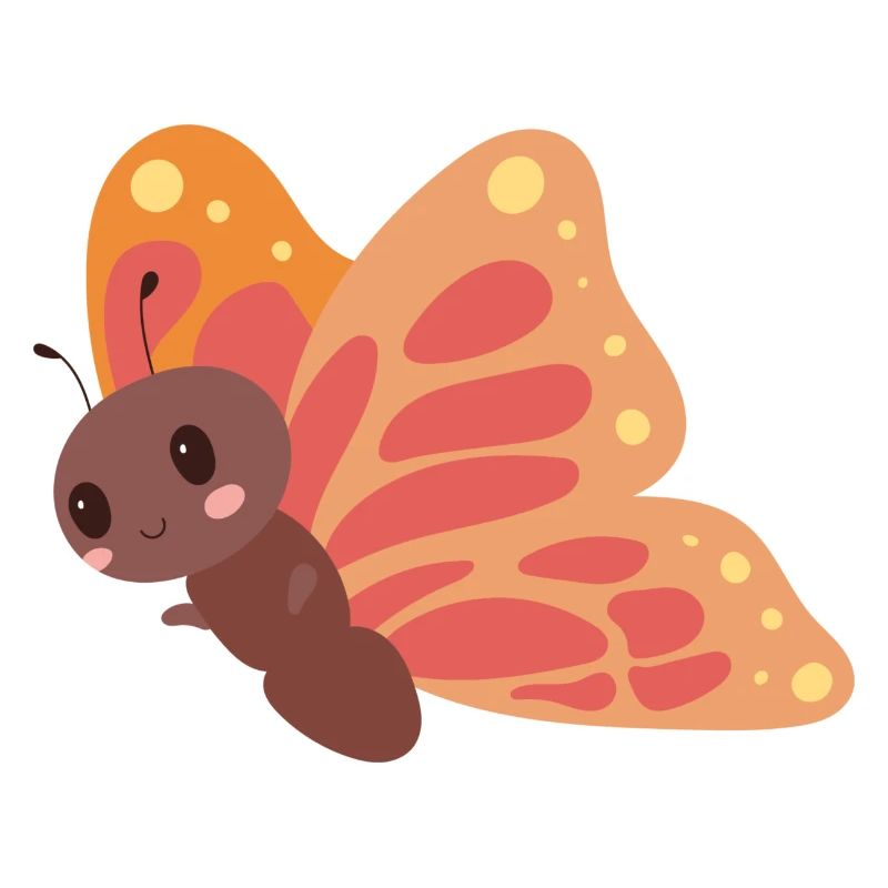 butterfly