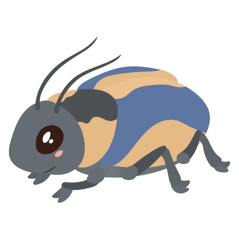 insecte