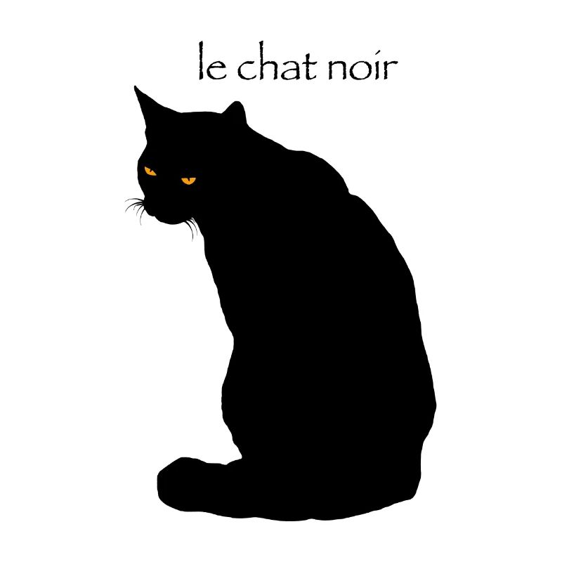 le chat noir
