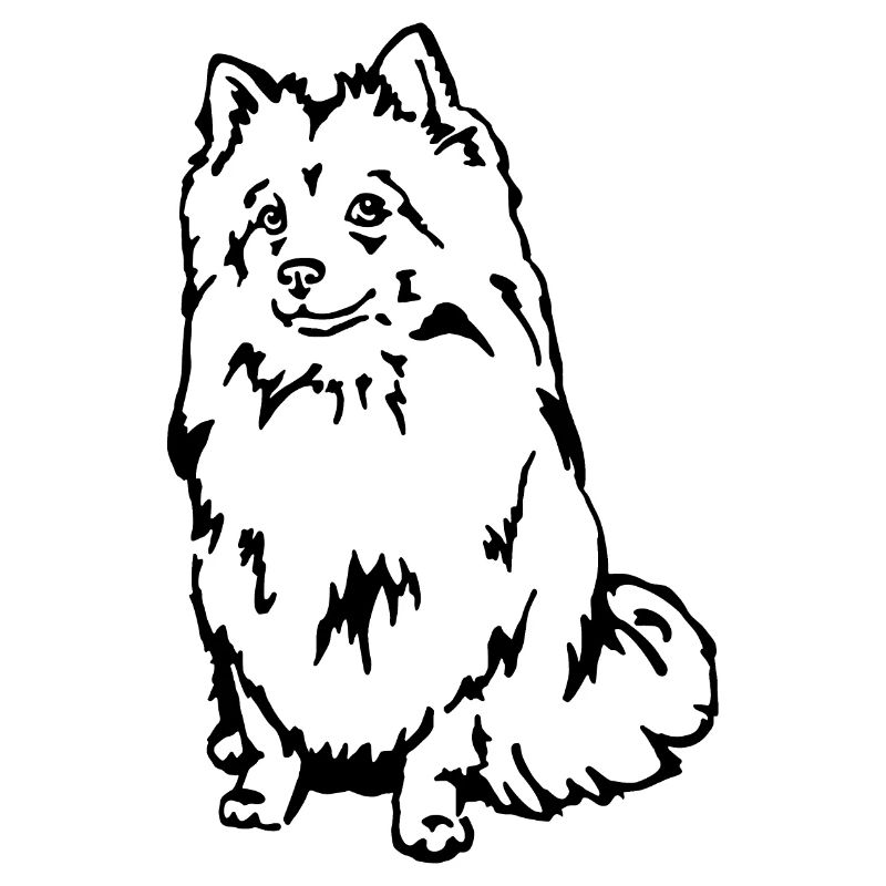 Pointed medium point