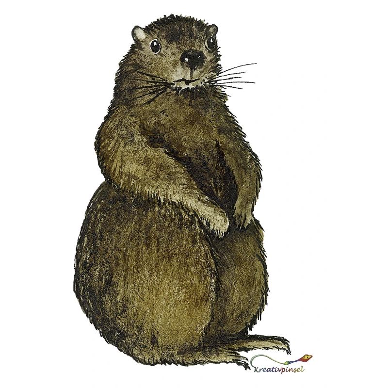 Murmeltier