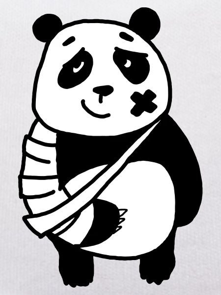 Panda broken arm