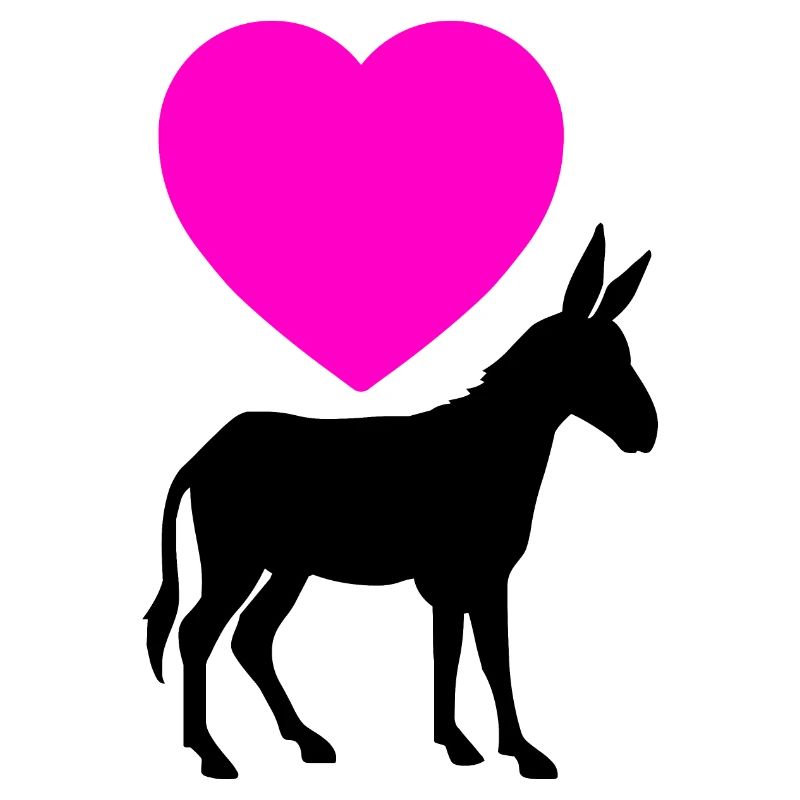 Donkey