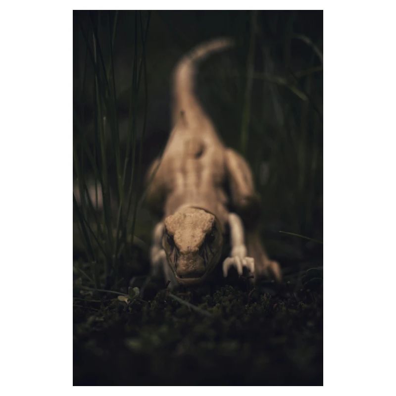 Raptor