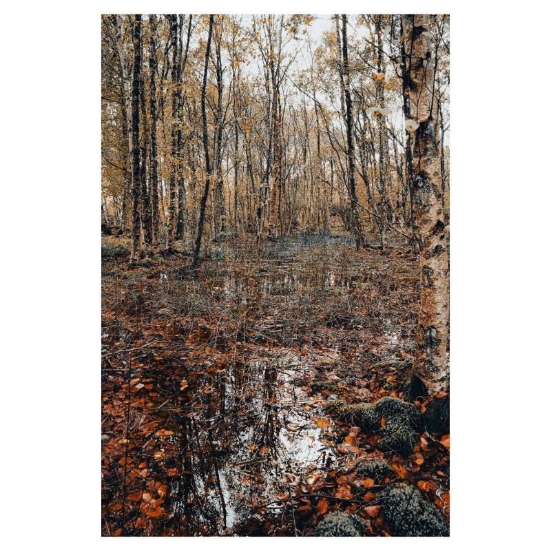 Wald