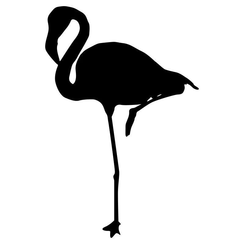 flamingos
