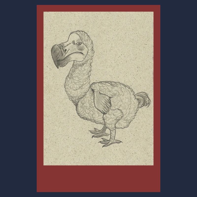 240527 Dodo 2